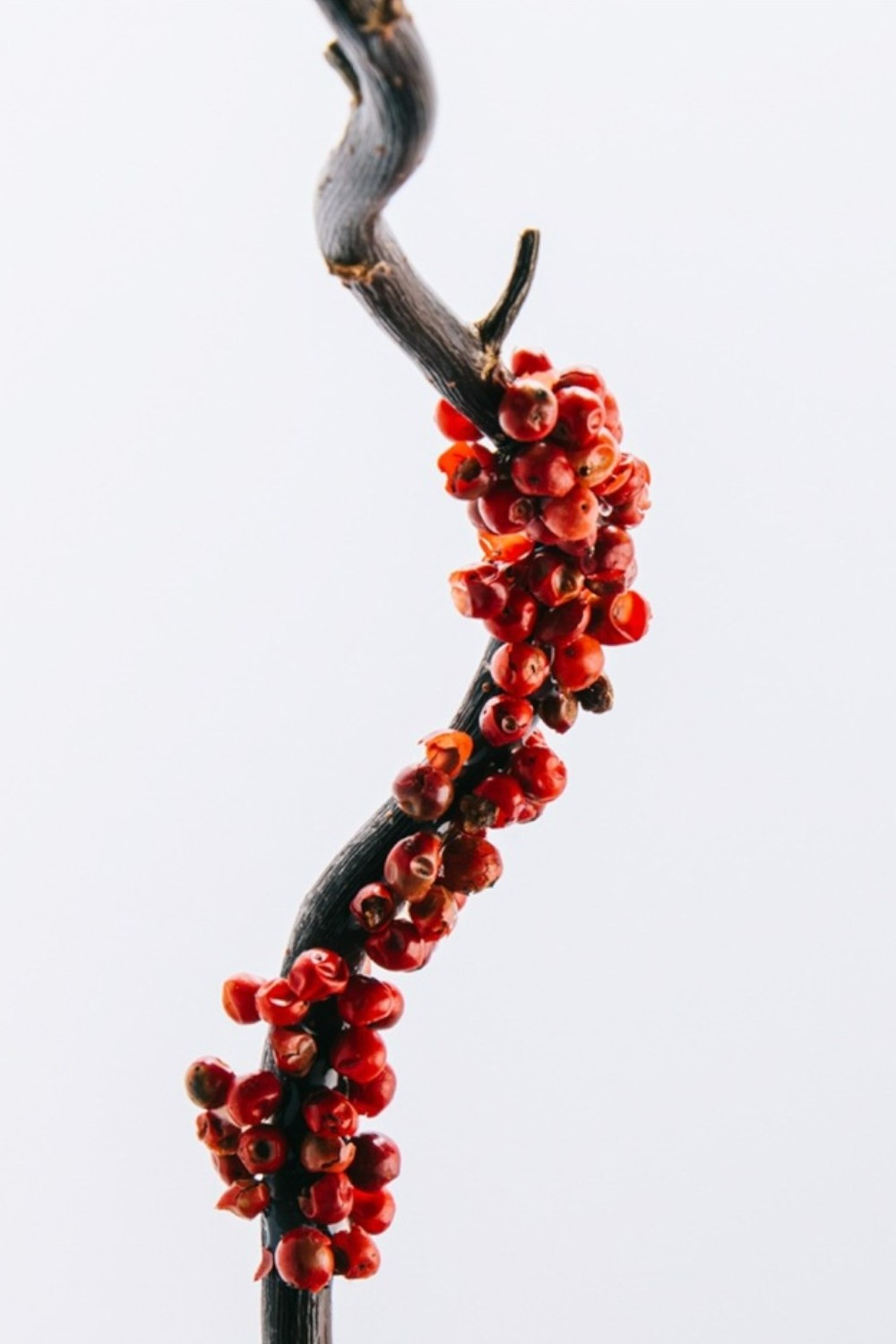 תמונת תקריב של Eau de Toilette 7 Elixir 100 ml + 10 ml