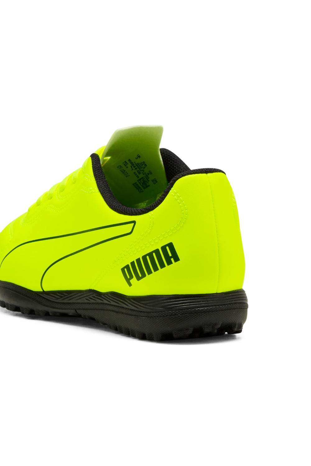 נעלי סניקרס