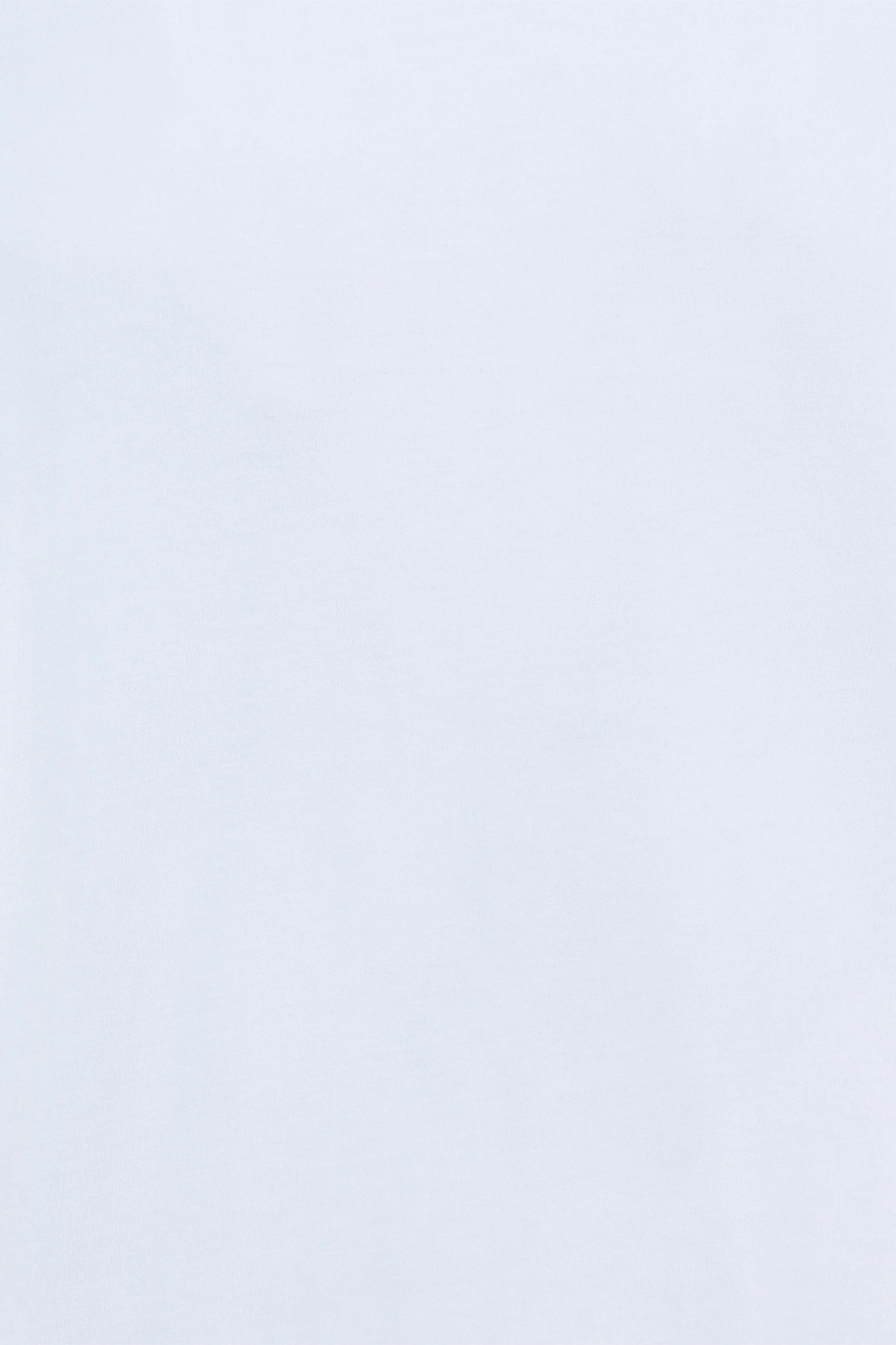 תמונה אחורית של White Regular Fit Tee in Cotton