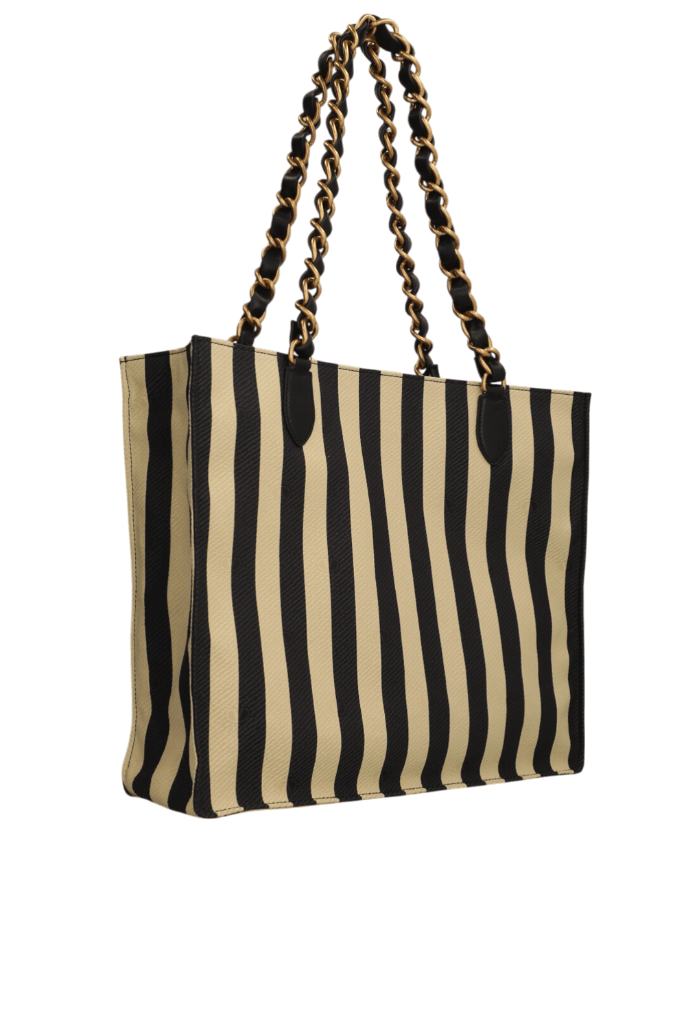 תמונה אחורית של תיק נשיאה לסיאן