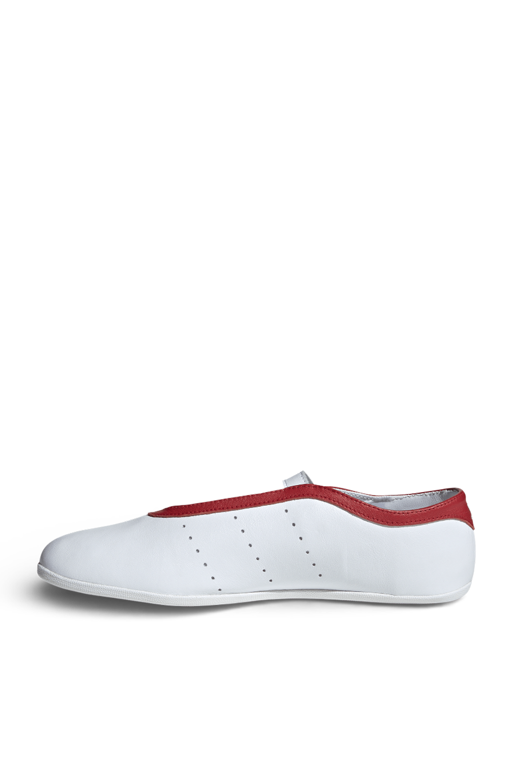 תמונה אחורית של נעלי בלרינה