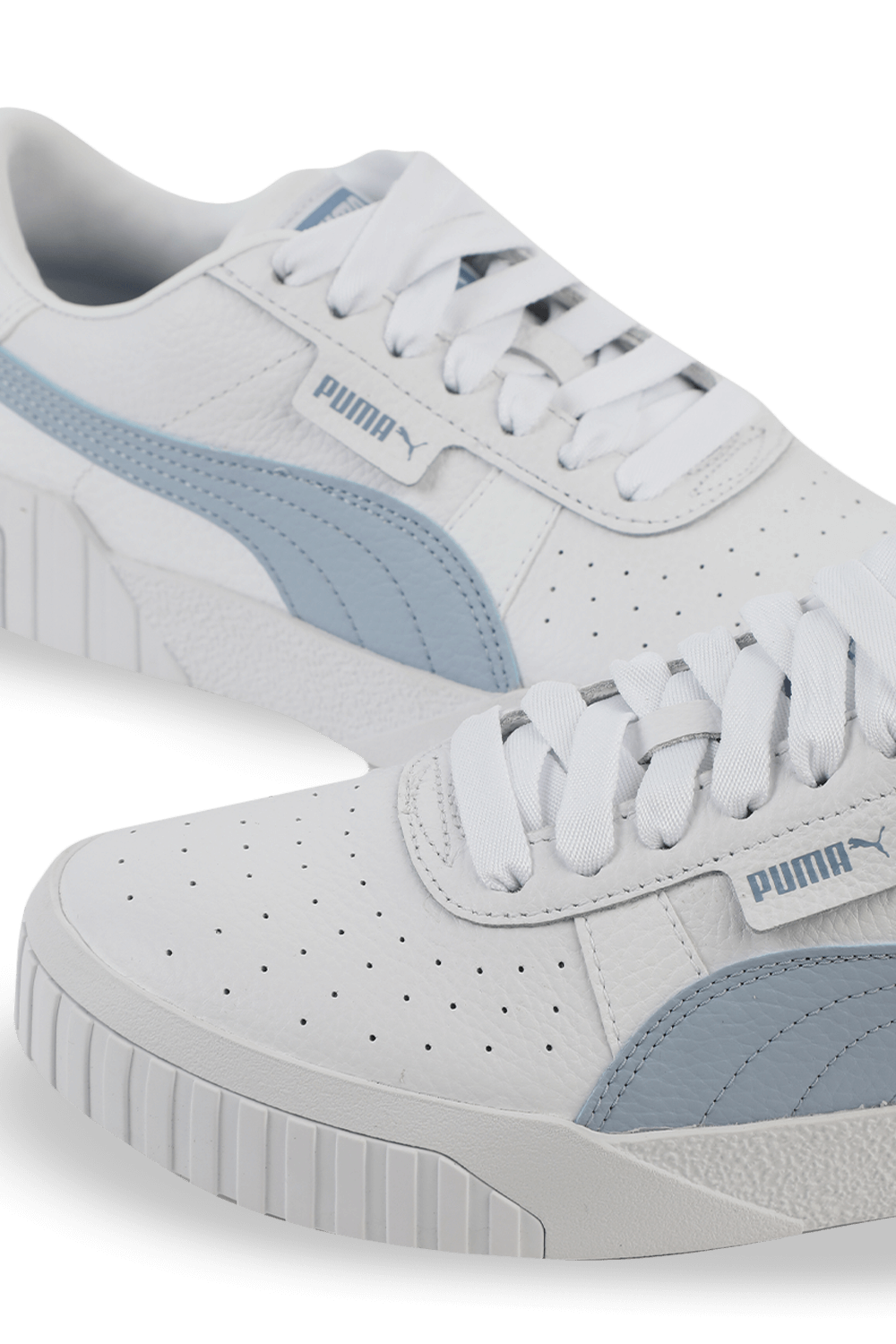 תמונת תקריב של Cali in White and Blue