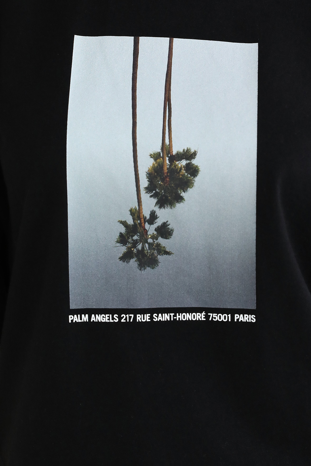 חולצת טי מכותנה PALM ANGELS