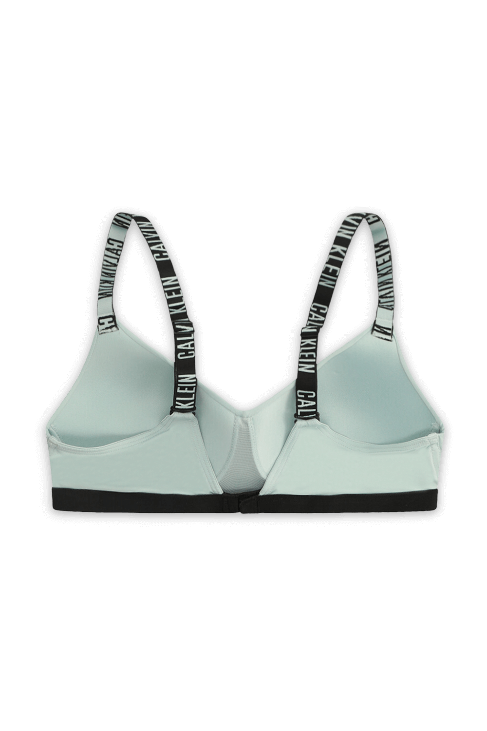 תמונה אחורית של חזייה