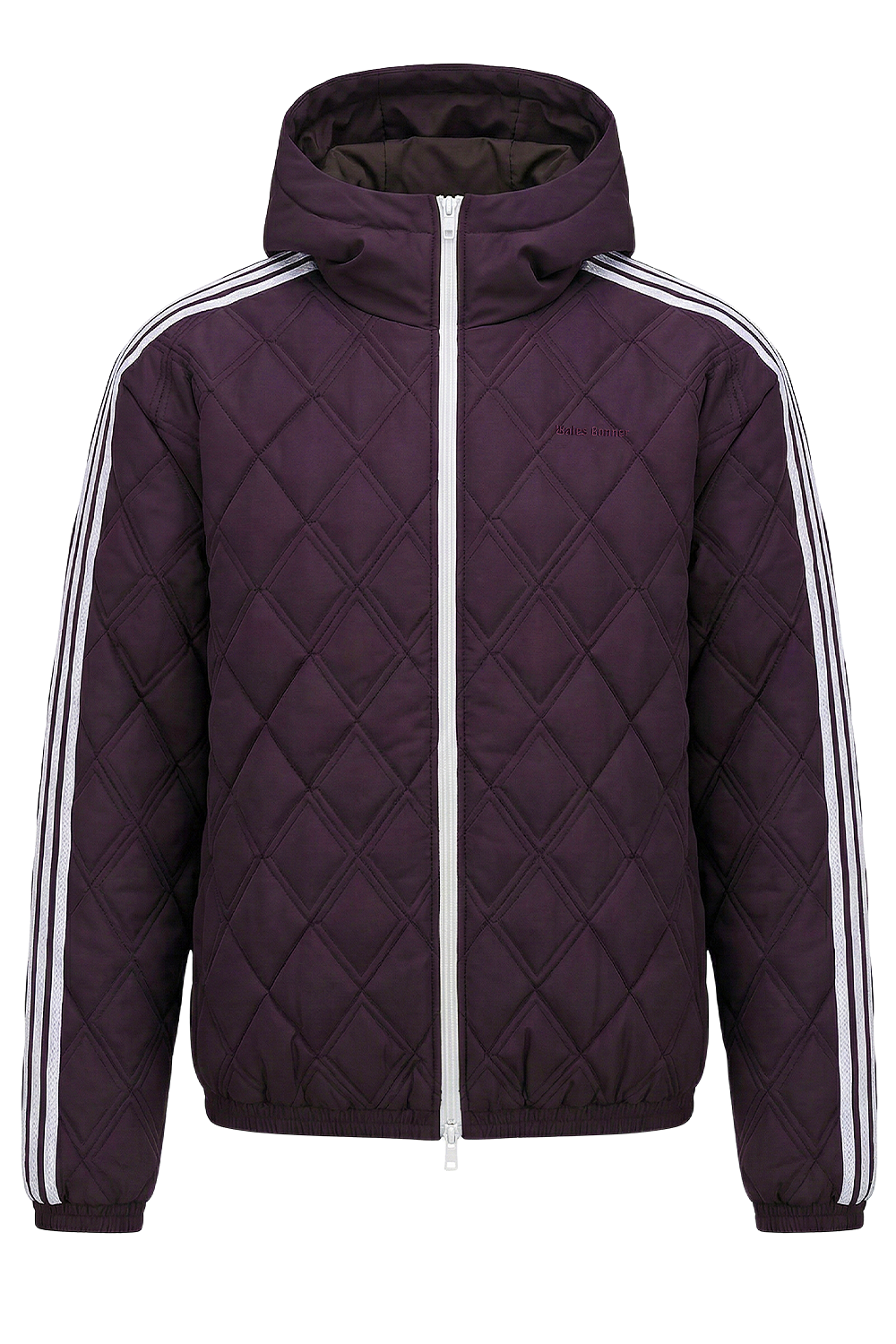 תמונה קידמית של ז'קט קפוצ'ון