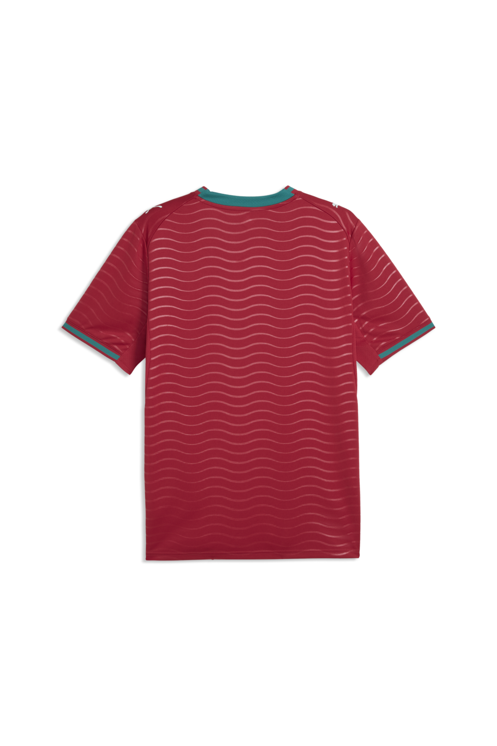 תמונה אחורית של חולצת טי