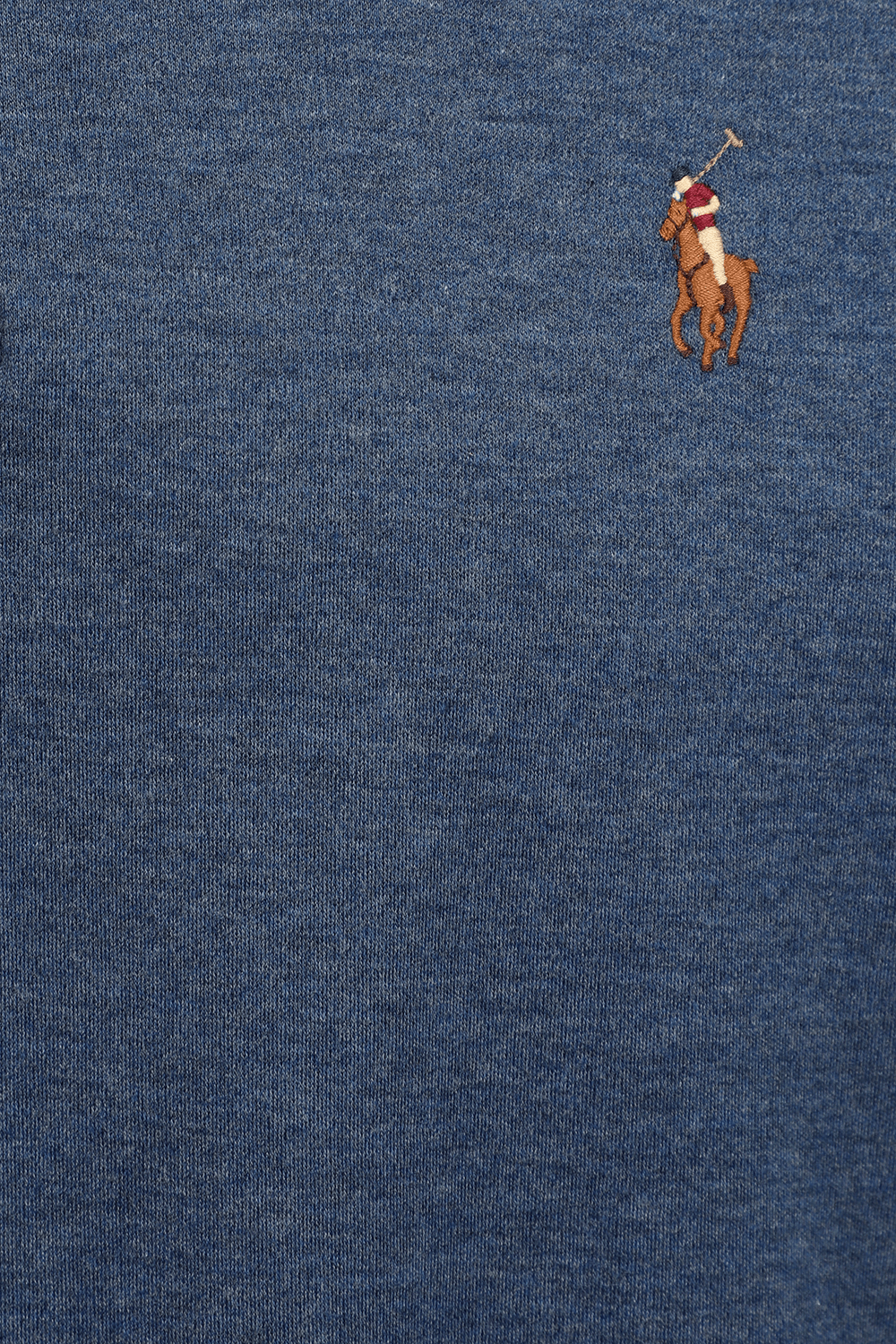 תמונה אחורית של Short Sleeves Knit Polo Shirt in Derby Blue