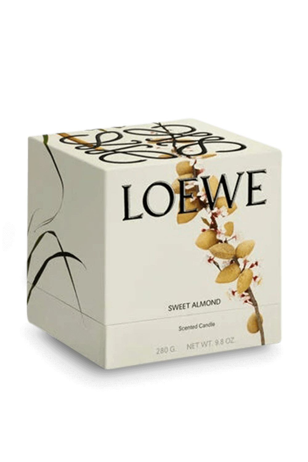תמונת פנים של Loewe Sweet Almond Scented Candle