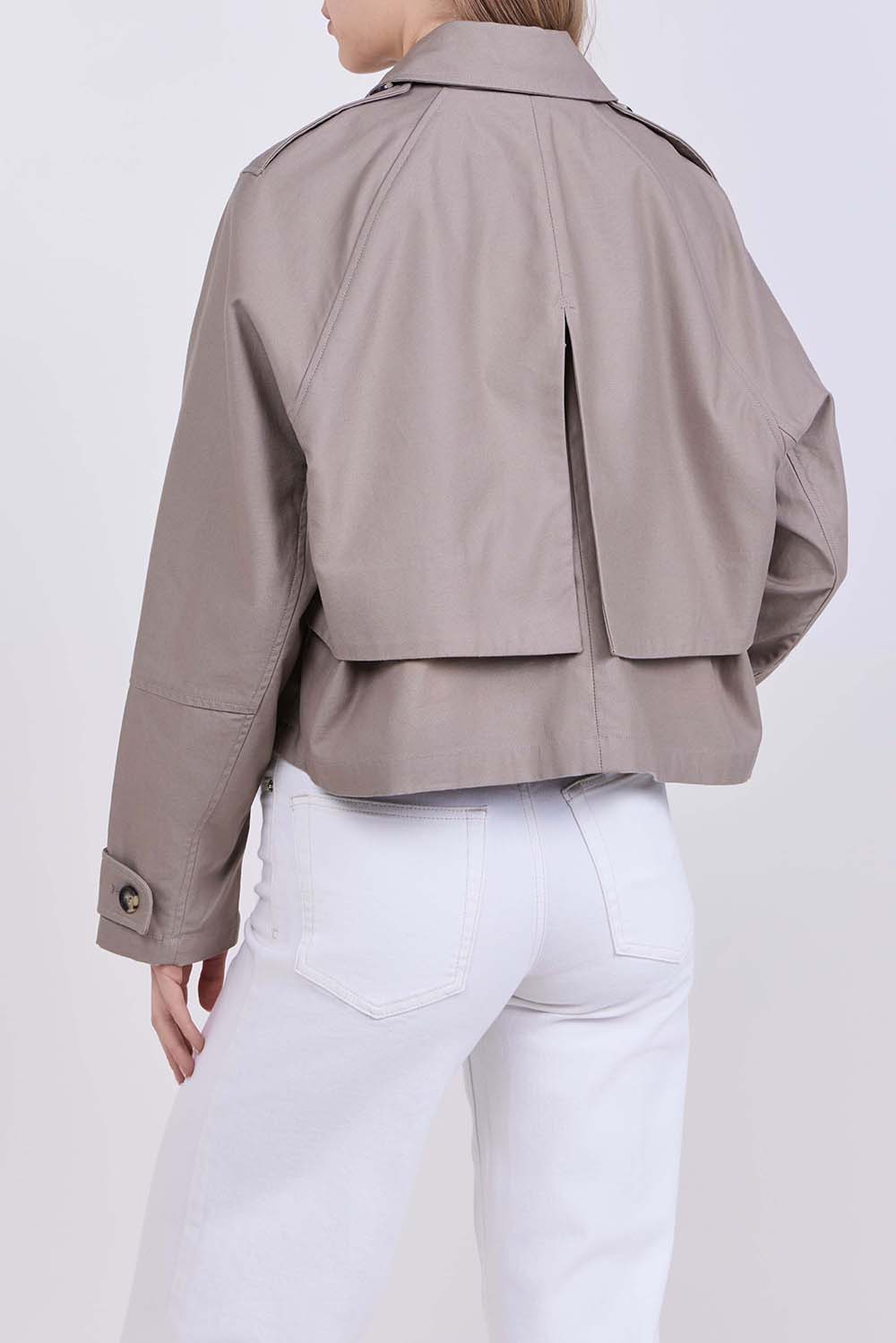 תמונת דוגמן אחורית של ז'קט טרנץ'