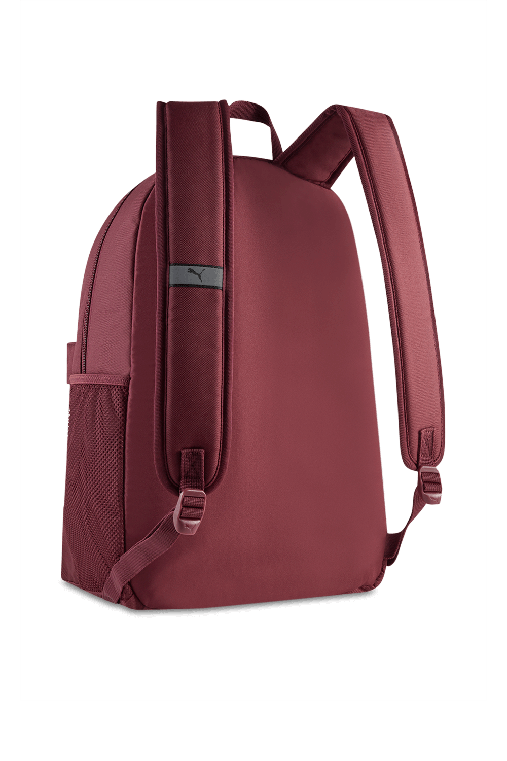 תמונה אחורית של תיק גב