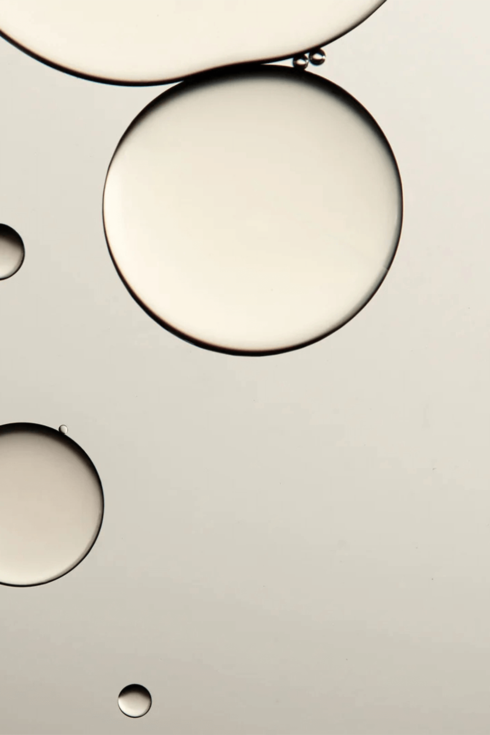 Christmas Set 2025 &ndash; Daily Queen Trio