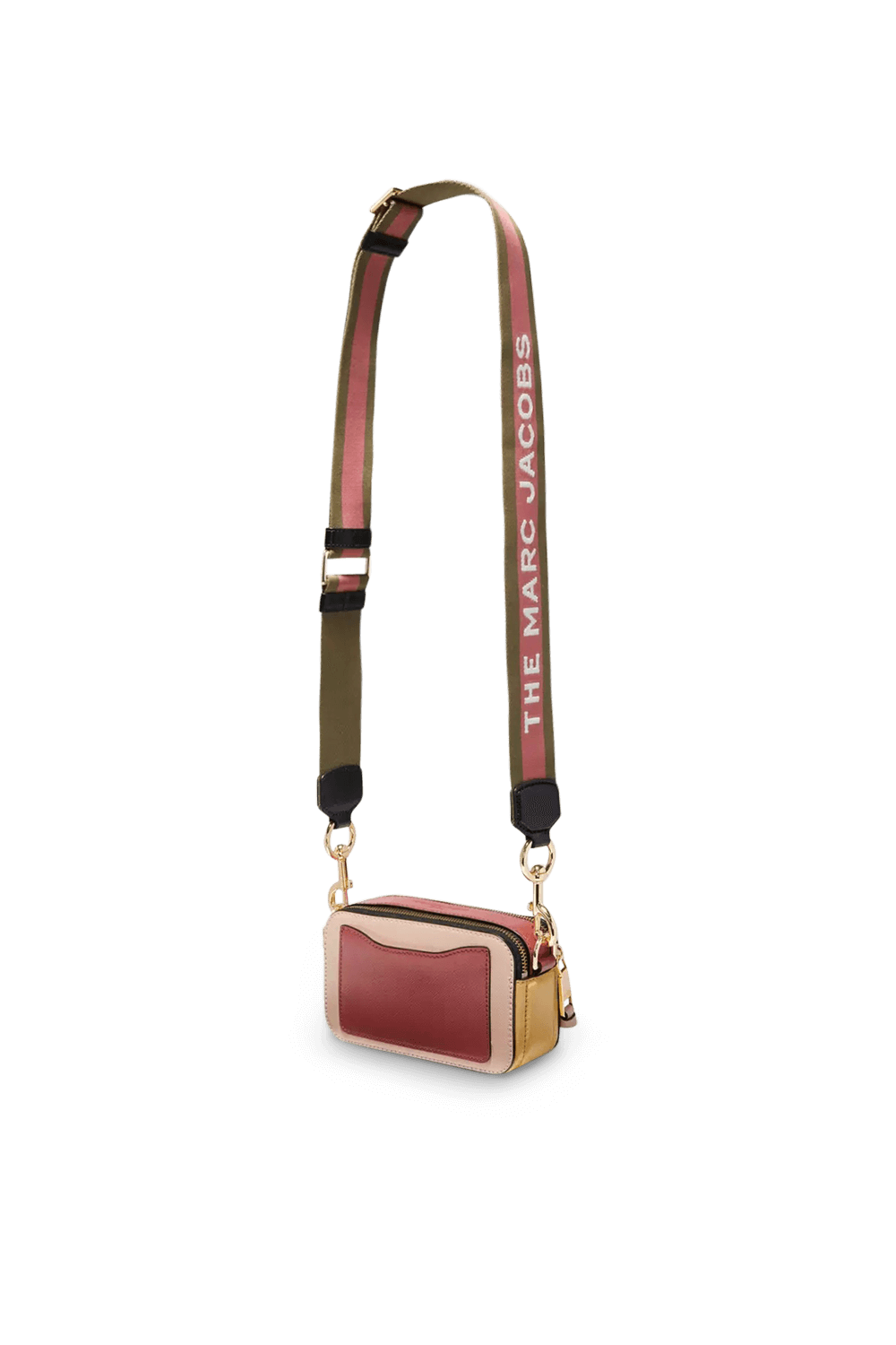 תמונה אחורית של The Snapshot in Pink