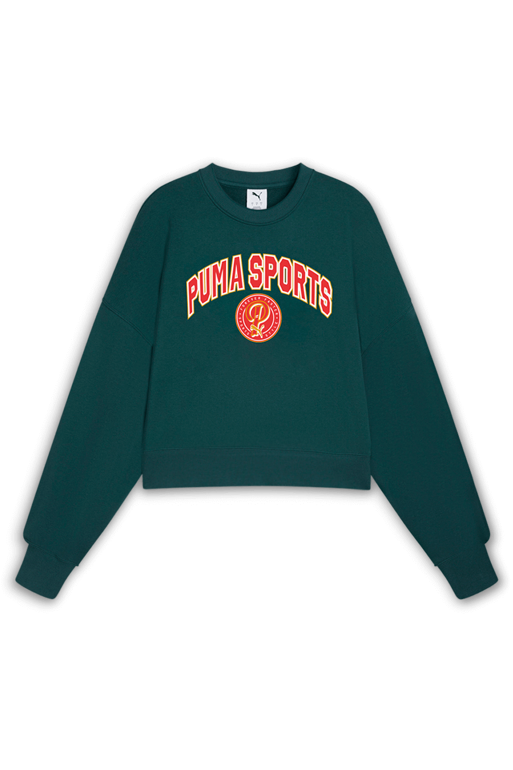 תמונה קידמית של סווטשירט