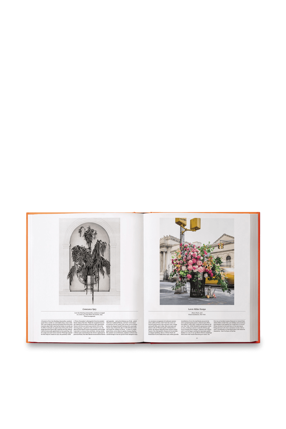 תמונת תקריב של Flower