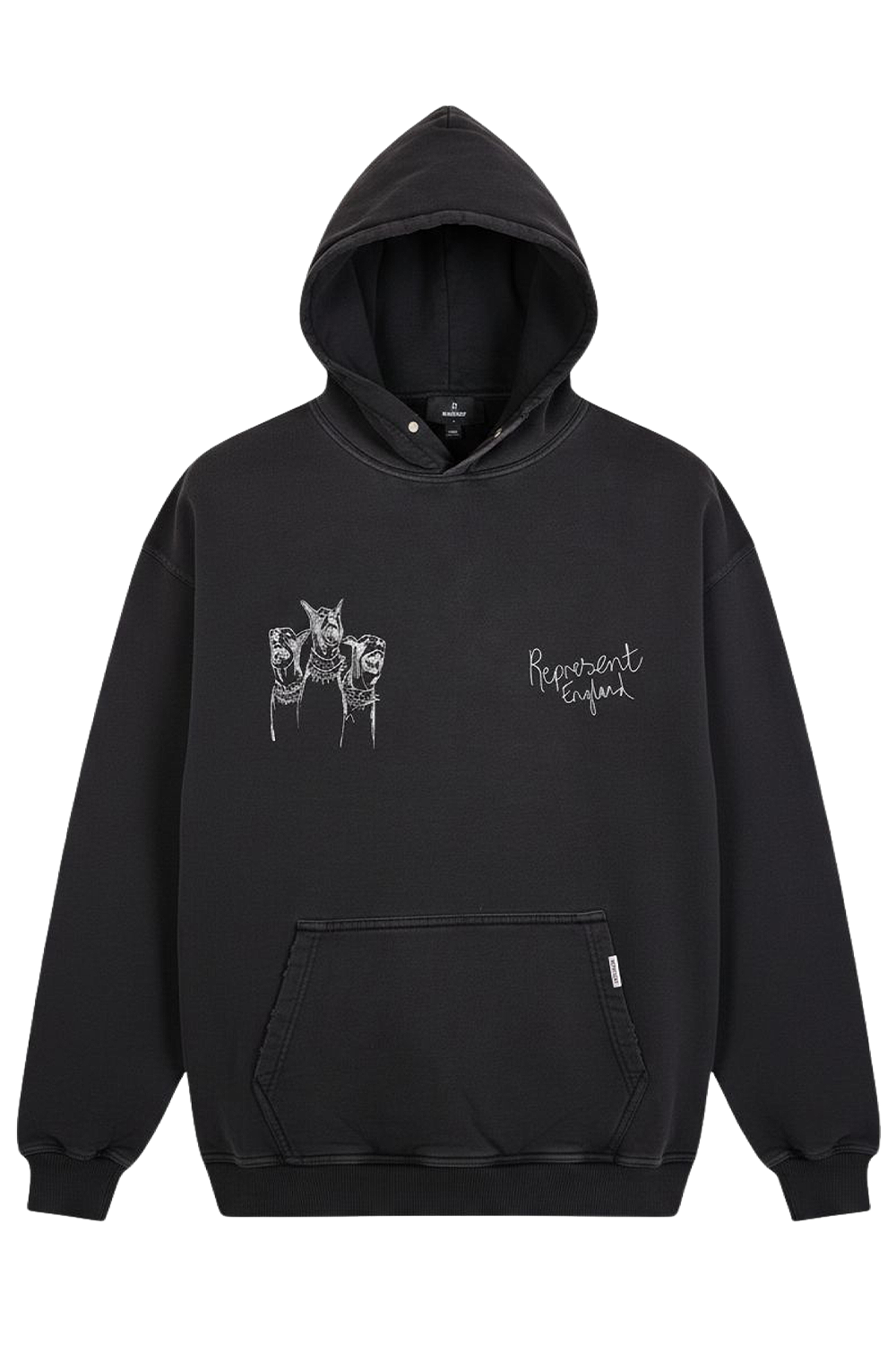 תמונה קידמית של קפוצ'ון מצויר