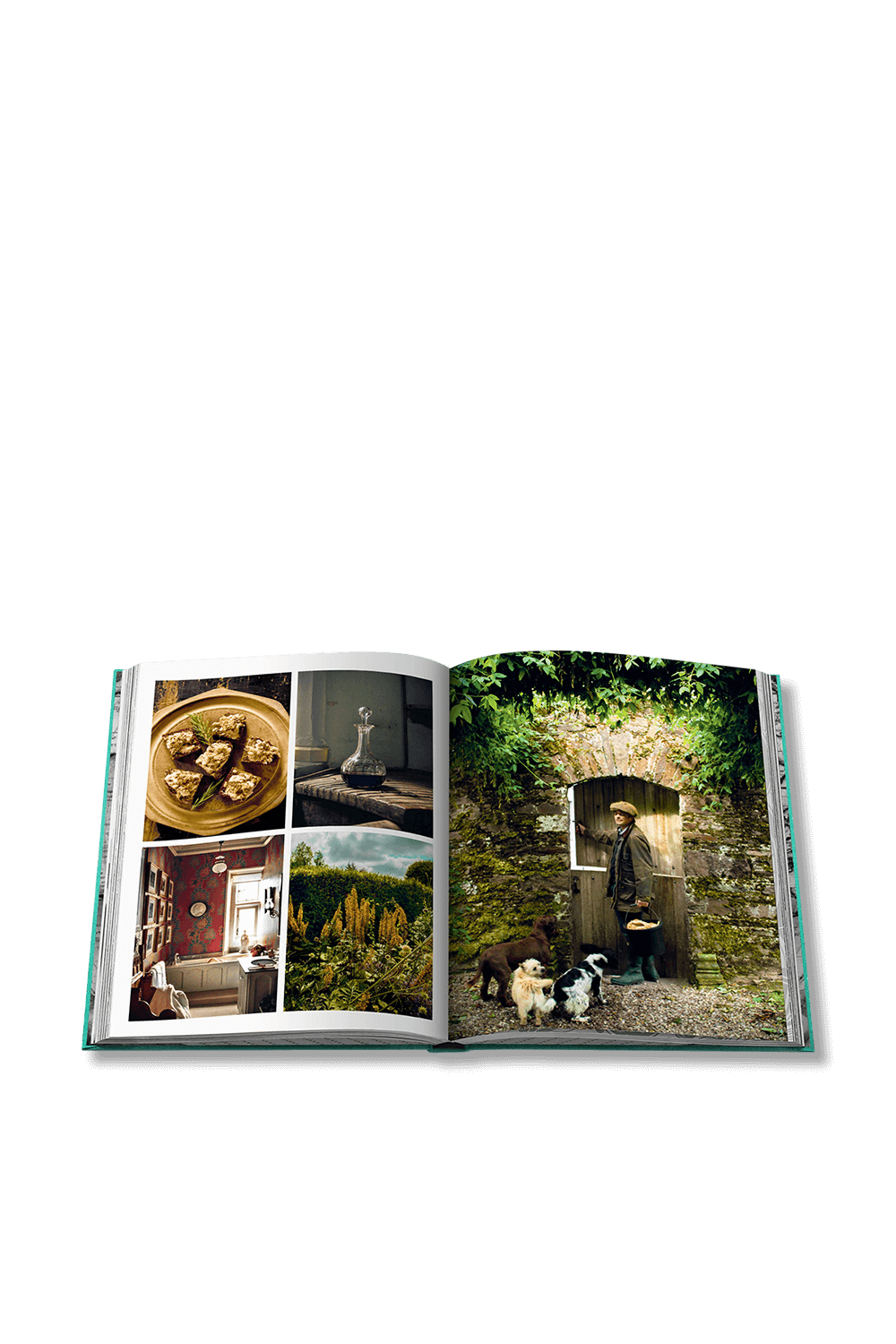 תמונת פנים של שיק סטייז