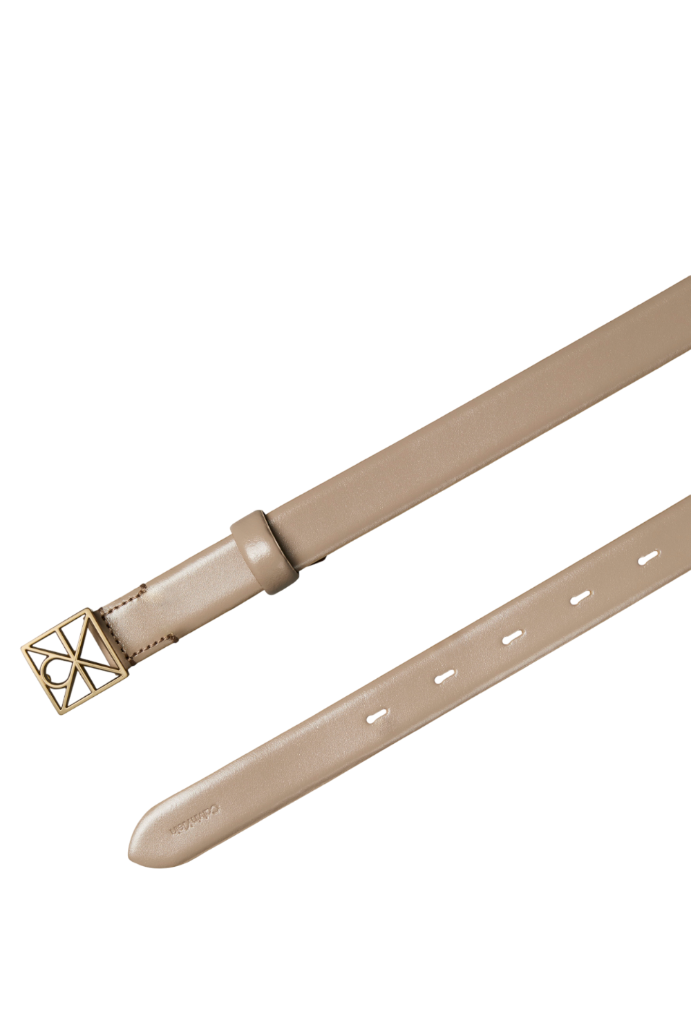 תמונה אחורית של חגורת עור