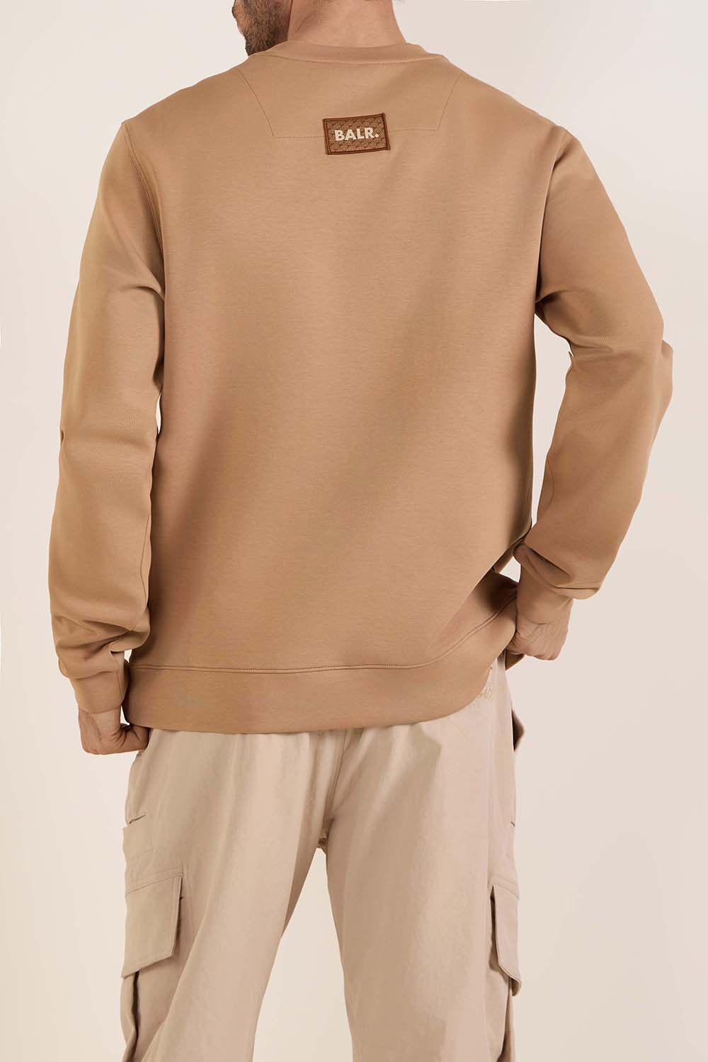 תמונת דוגמן אחורית של סווטשירט