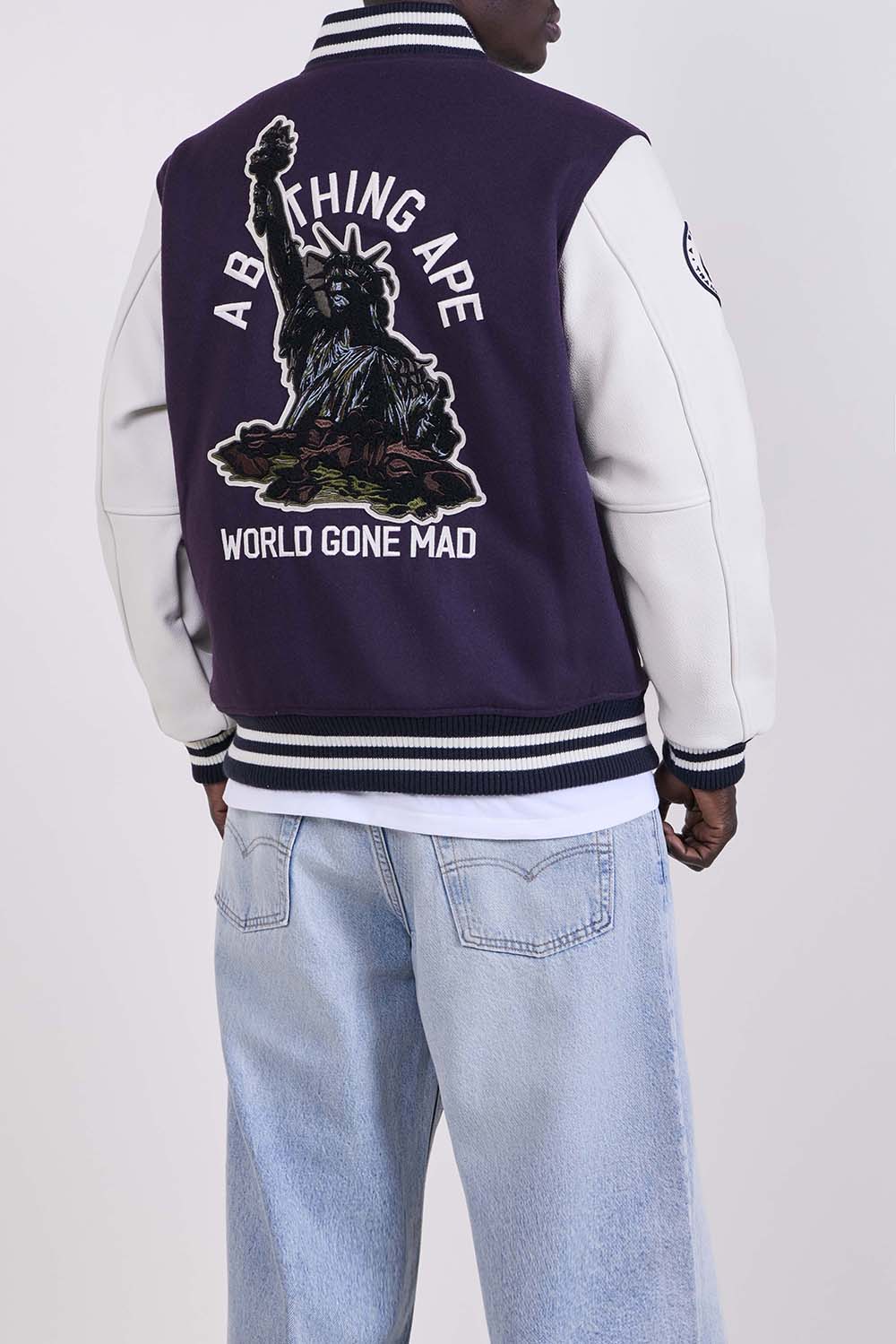 תמונת דוגמן אחורית של ז'קט בומבר