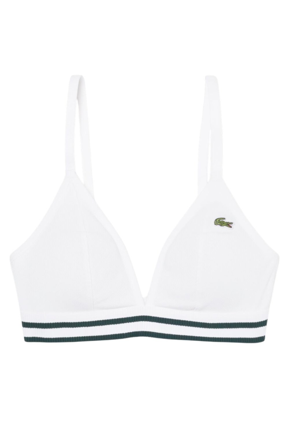 תמונה קידמית של חזייה