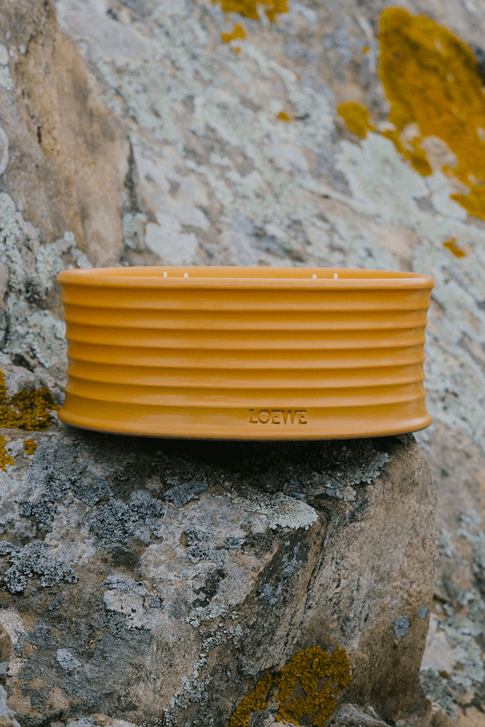 תמונת תקריב של Loewe Ginger Outdoor Scented Candle