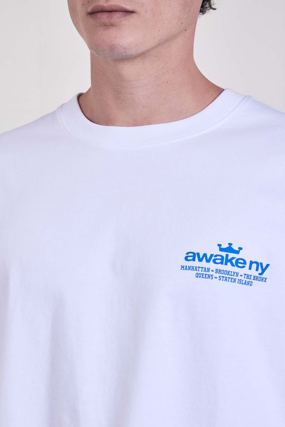 תמונת תקריב דוגמן של חולצת טי בגזרה ישרה