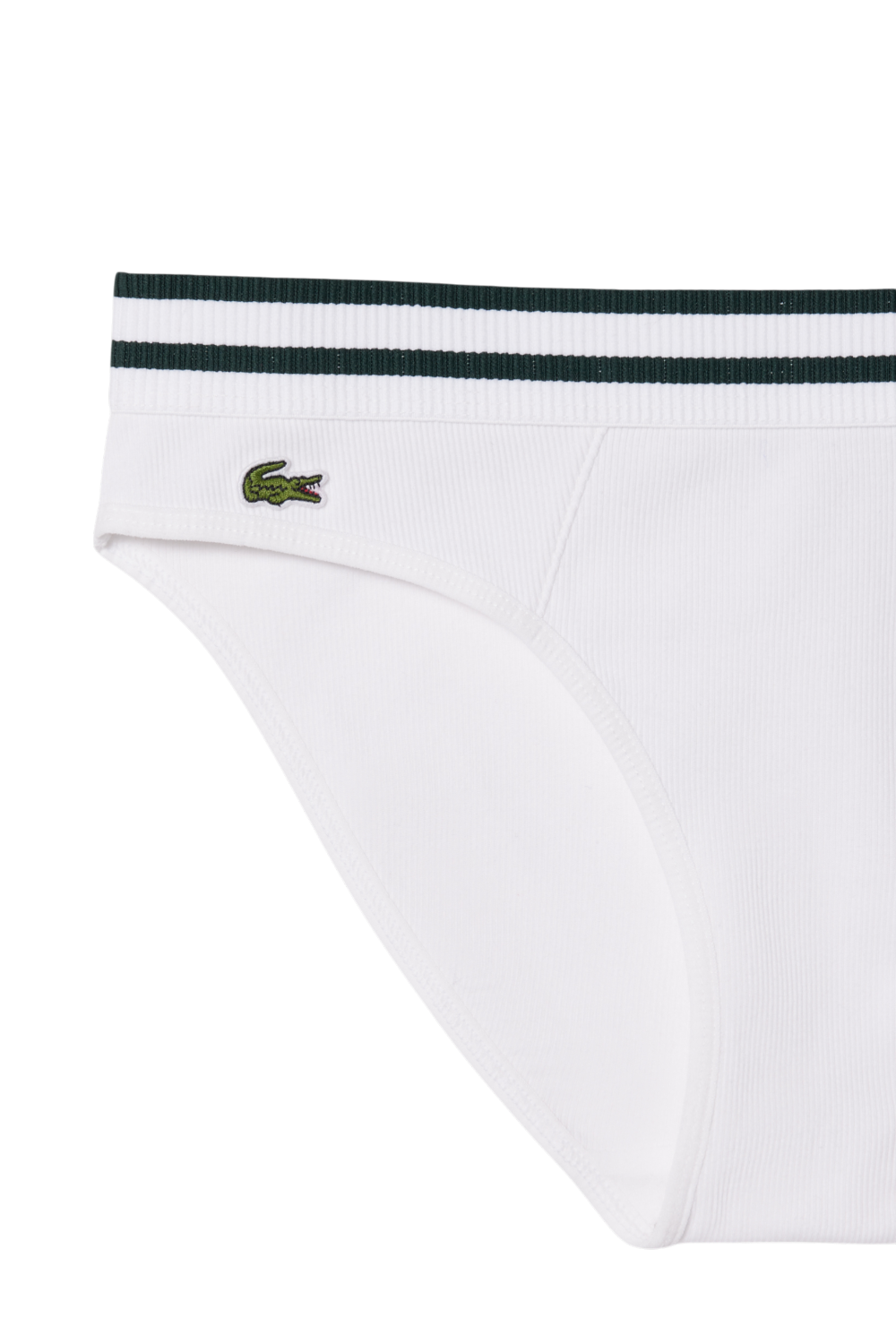 תמונת תקריב של תחתון בקיני