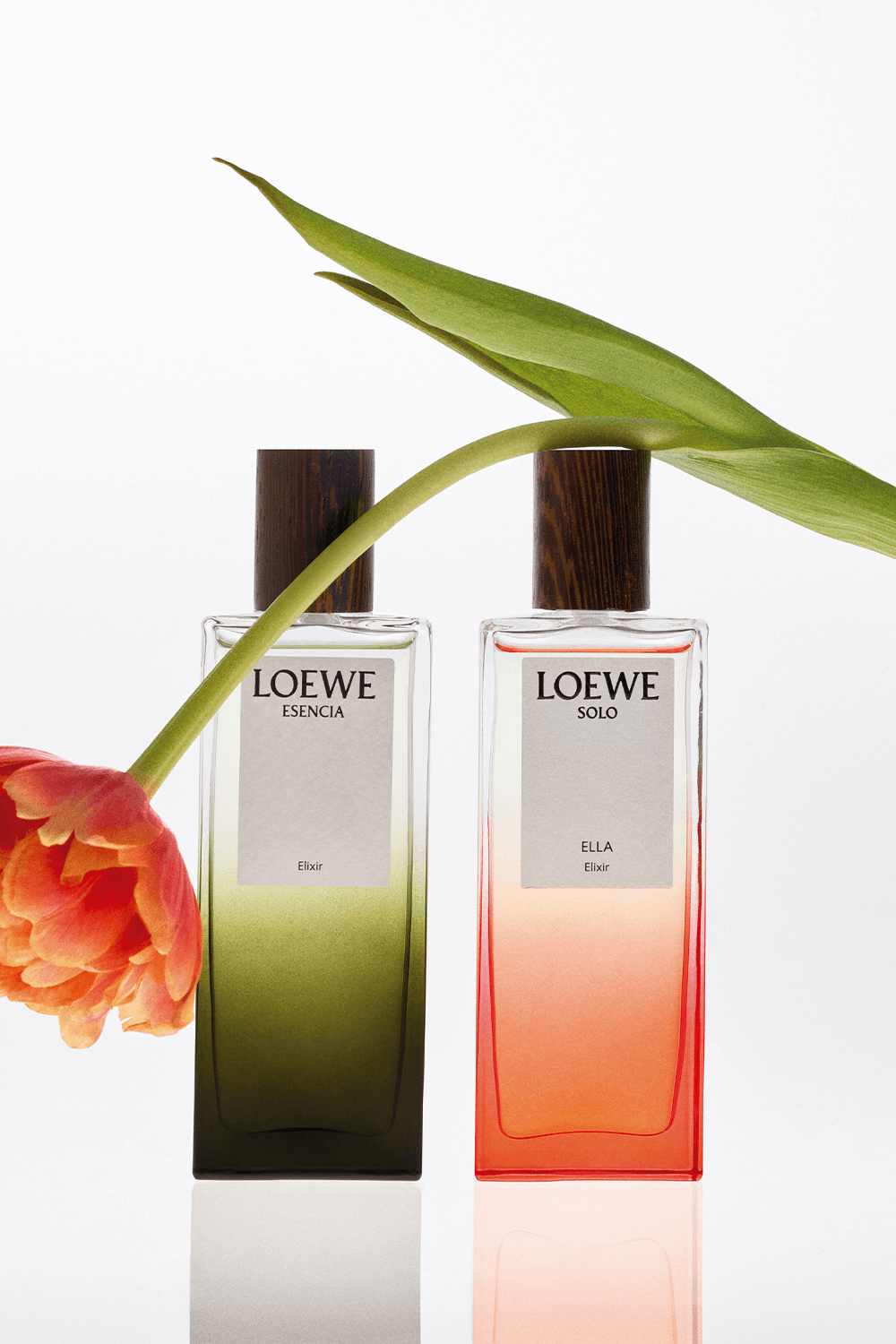 תמונת פנים של LOEWE Solo Ella Elixir Eau de Parfum 50 ml