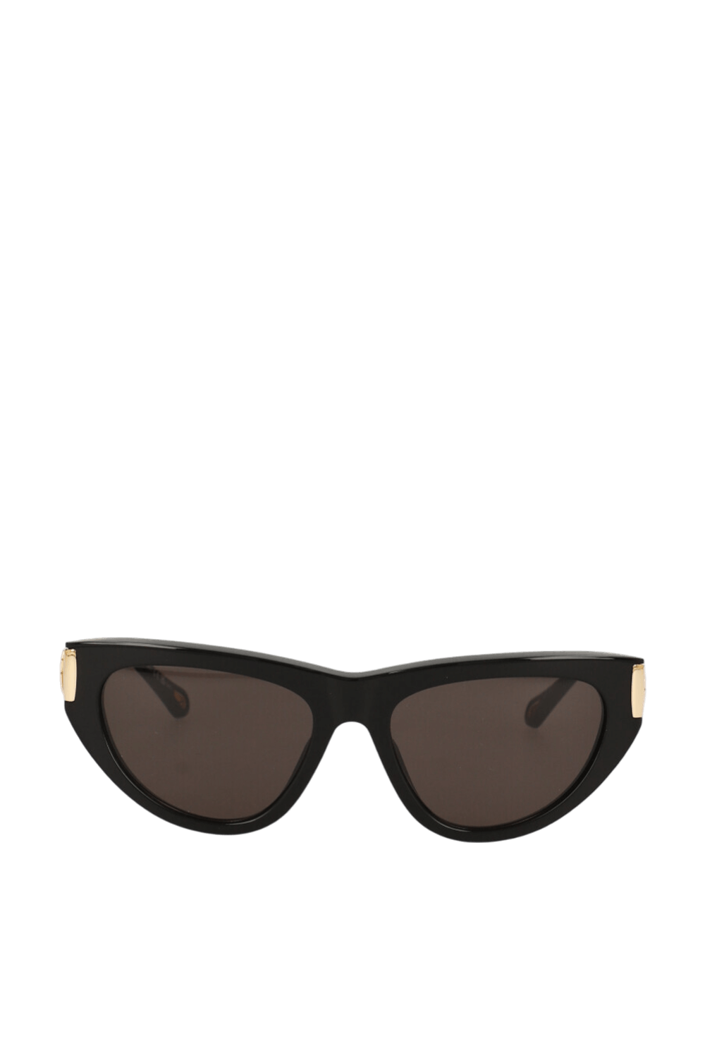 תמונה קידמית של משקפי שמש